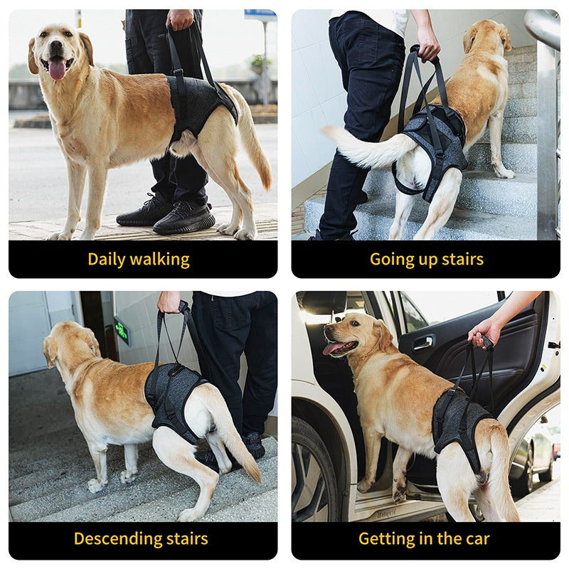 SoulStep Dog harness