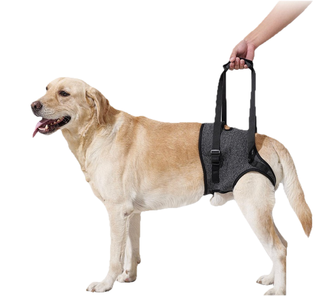 SoulStep Dog harness