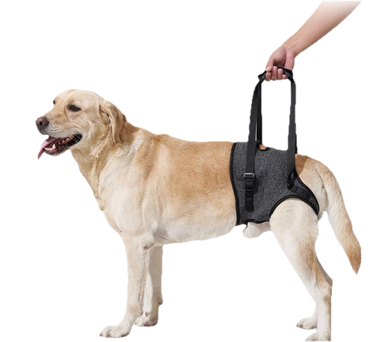 SoulStep Dog harness