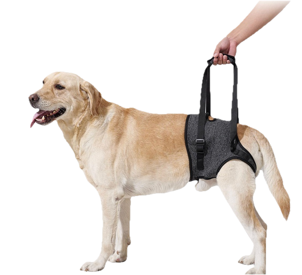 SoulStep Dog harness
